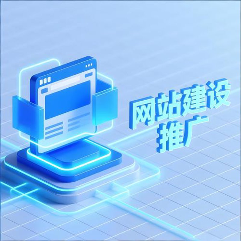 网络推广服务